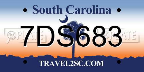 7DS683 South Carolina License Plate