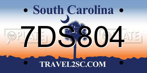 7DS804 South Carolina License Plate