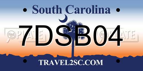 7DSB04 South Carolina License Plate