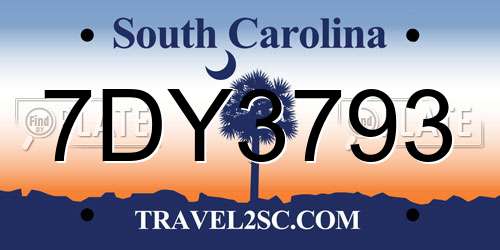 7DY3793 South Carolina License Plate