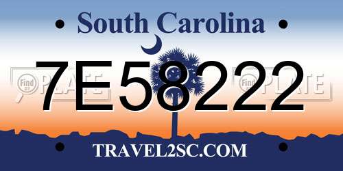 7E58222 South Carolina License Plate