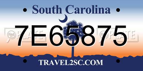 7E65875 South Carolina License Plate