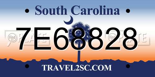 7E68828 South Carolina License Plate