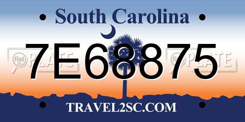 7E68875 South Carolina License Plate