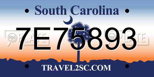 7E75893 South Carolina License Plate