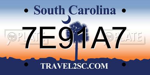 7E91A7 South Carolina License Plate