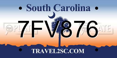 7FV876 South Carolina License Plate