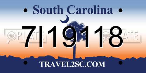 7I19118 South Carolina License Plate
