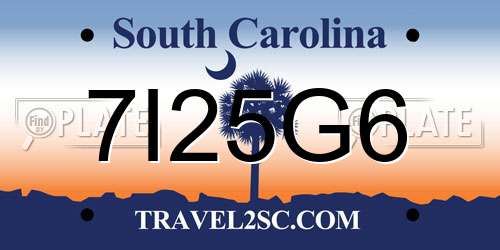 7I25G6 South Carolina License Plate