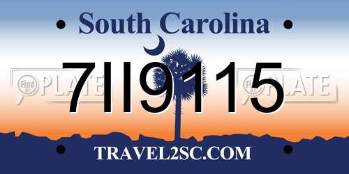7II9115 South Carolina License Plate