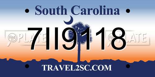 7II9118 South Carolina License Plate