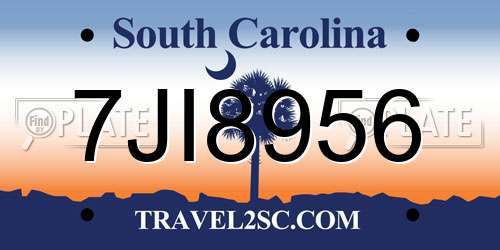 7JI8956 South Carolina License Plate