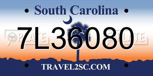 7L36080 South Carolina License Plate