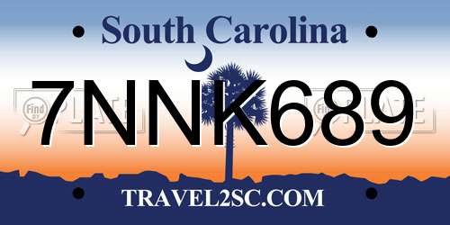 7NNK689 South Carolina License Plate