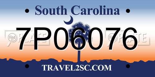 7P06076 South Carolina License Plate