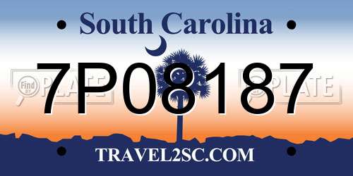 7P08187 South Carolina License Plate