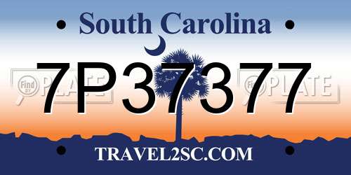 7P37377 South Carolina License Plate