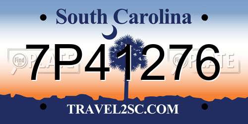 7P41276 South Carolina License Plate
