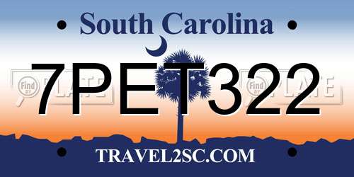 7PET322 South Carolina License Plate