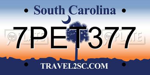 7PET377 South Carolina License Plate