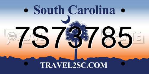 7S73785 South Carolina License Plate