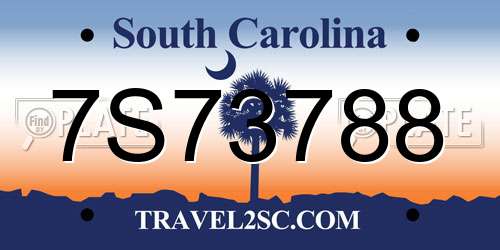 7S73788 South Carolina License Plate