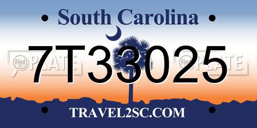 7T33025 South Carolina License Plate