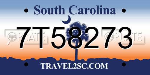 7T58273 South Carolina License Plate