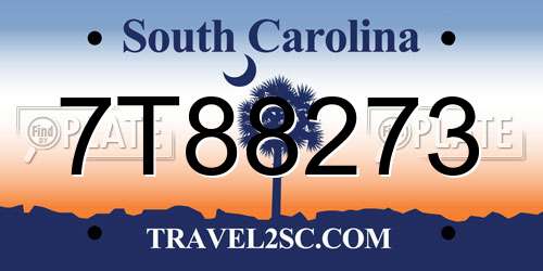 7T88273 South Carolina License Plate
