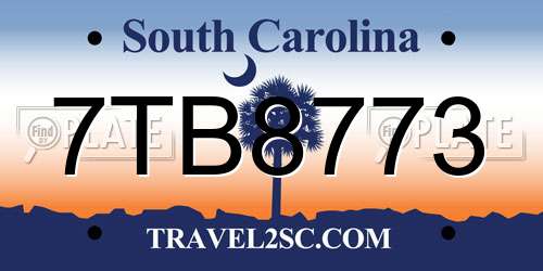7TB8773 South Carolina License Plate