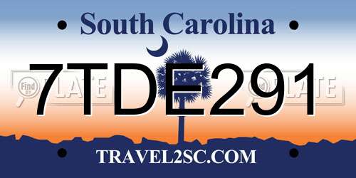 7TDE291 South Carolina License Plate
