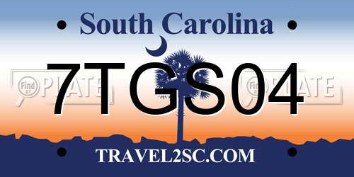 7TGS04 South Carolina License Plate