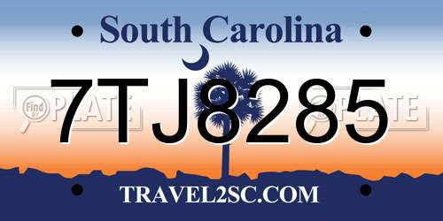 7TJ8285 South Carolina License Plate