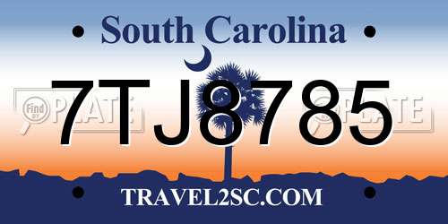 7TJ8785 South Carolina License Plate