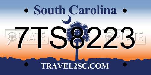 7TS8223 South Carolina License Plate