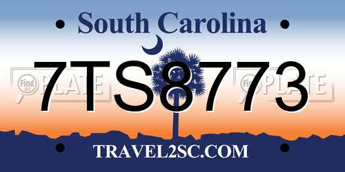 7TS8773 South Carolina License Plate