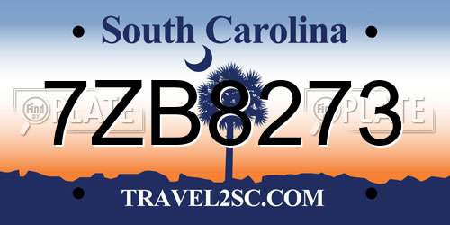 7ZB8273 South Carolina License Plate