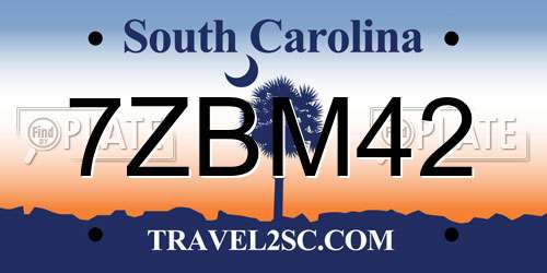 7ZBM42 South Carolina License Plate
