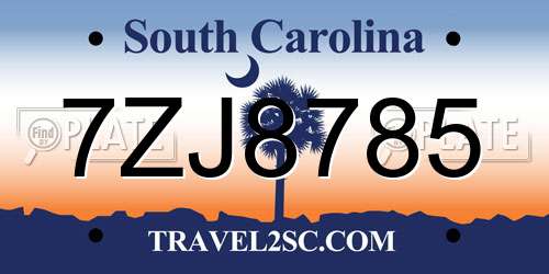 7ZJ8785 South Carolina License Plate