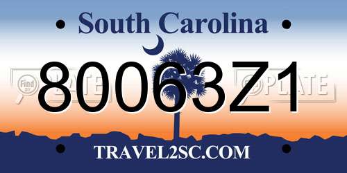 80063Z1 South Carolina License Plate