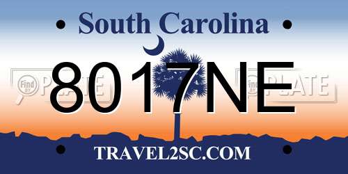 8017NE South Carolina License Plate