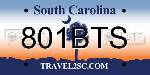 801BTS South Carolina License Plate