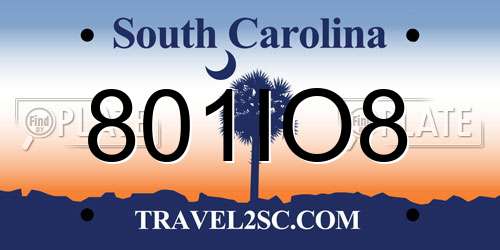 801IO8 South Carolina License Plate