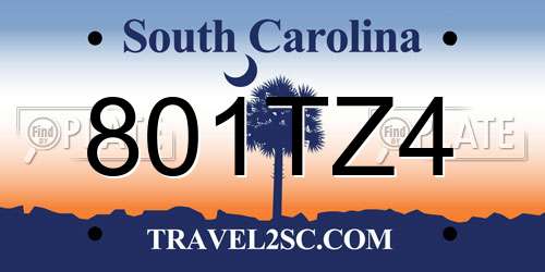 801TZ4 South Carolina License Plate