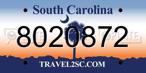 8020872 South Carolina License Plate