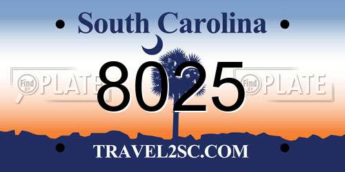 8025 South Carolina License Plate
