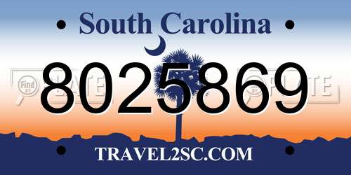 8025869 South Carolina License Plate