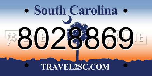 8028869 South Carolina License Plate