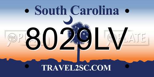 8029LV South Carolina License Plate