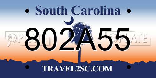 802A55 South Carolina License Plate